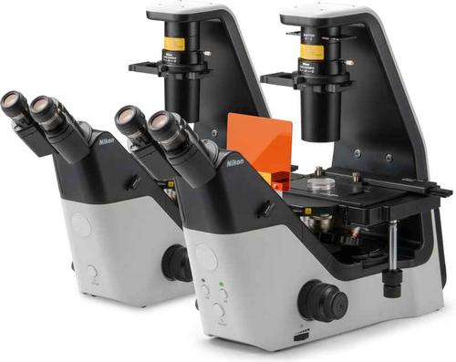如何正確使用熒光顯微鏡進行生物細胞分析？